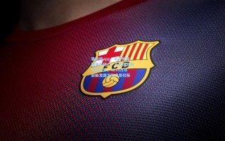 爱游戏app：半月板撕裂再袭核心！小萨博尼斯伤停月余，4233万年薪触发国王队交易权衡