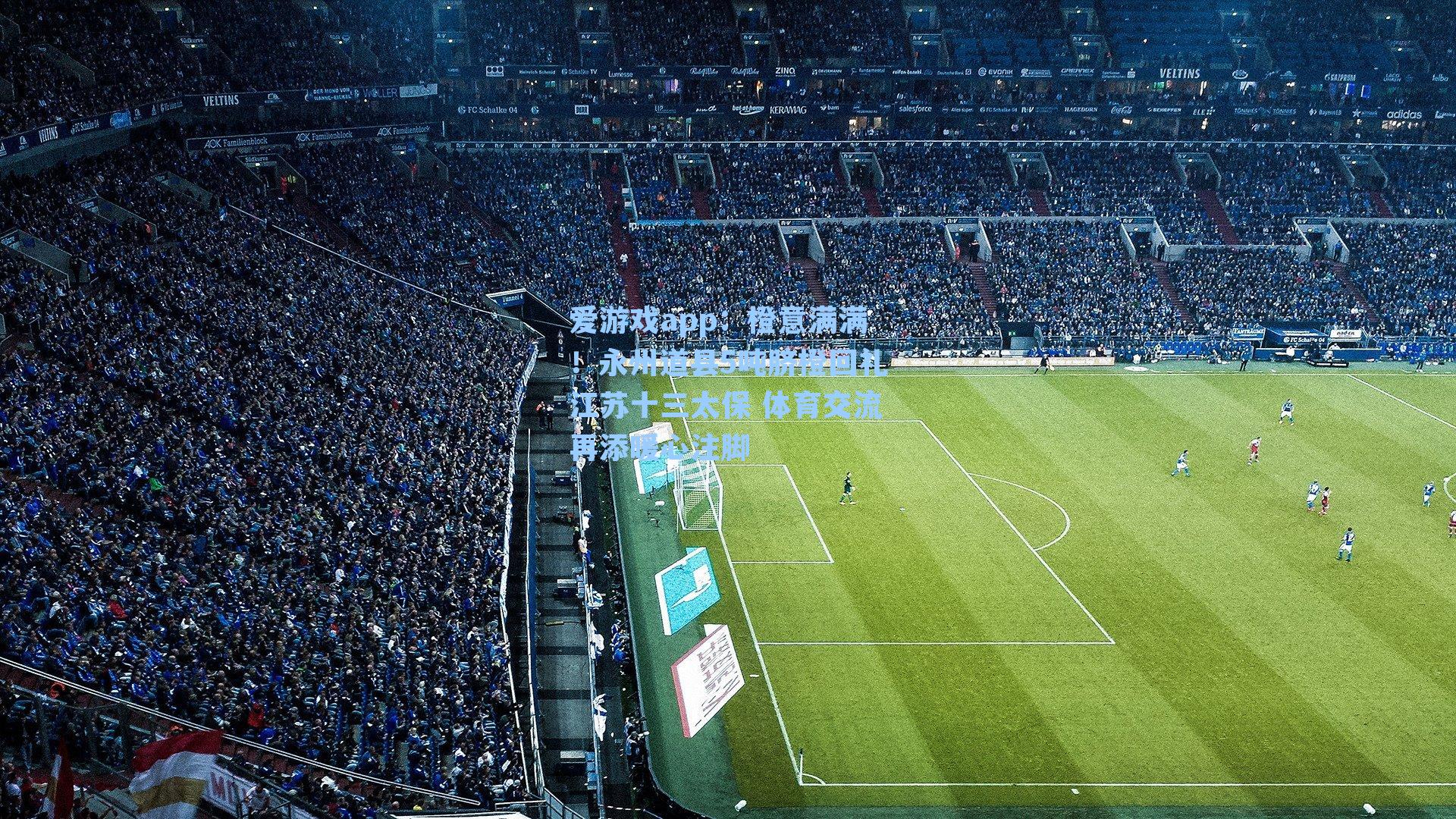 爱游戏app：橙意满满！永州道县5吨脐橙回礼江苏十三太保 体育交流再添暖心注脚-第3张图片-爱游戏-稳定流畅的综合娱乐服务平台